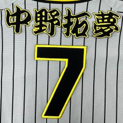 ☆送料無料☆横浜 DeNA ベイスターズ 中川颯 ネーム 3 応援 刺繍