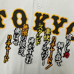 ☆送料無料☆横浜 DeNA ベイスターズ 中川颯 ネーム 3 応援 刺繍