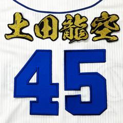 ☆送料無料☆横浜 DeNA ベイスターズ 池谷蒼大 ネーム 4 刺繍 ワッペン