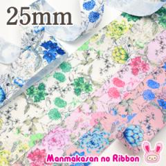 25mm�@�v�����g���{���@�{�^�j�J���t�����[�̃��{���@2m�@�m�݌Ɍ���n