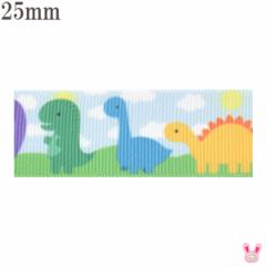 25mm�@�v�����g���{���@�J���t���ȋ������{���@2m