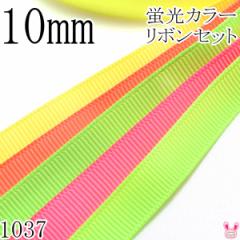 10mm�@�O���O�������{���A�\�[�g �Z�b�g�@1mx5�{�@�u���J���[�@ 525.600.556.159.544 �@�i1037�j