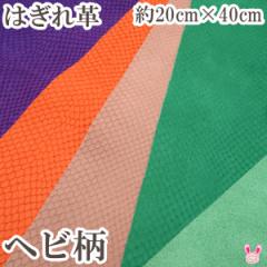 󂠂@͂@wr^@{vU[@20cm~40cm@1@n@