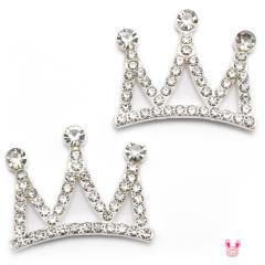 �A�N�Z�T���[�p�[�c�@�V���v���N���E���̃r�W���[�p�[�c�@1��