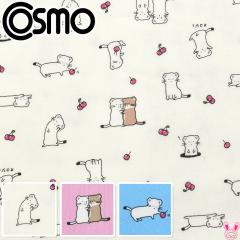 �I�R�W���Ƃ������ځ@�V�[�`���O���n�@ AP55104-2�@�R�X���@(50cm�ȏ�10cm�P�ʐ؂蔄��)