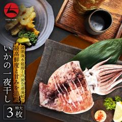 Y ^ 銱 TCY 3 Y  CJ G O CN    Ђ ܂ ܂ ӎ C̍K 