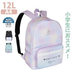 �����b�N ���w�� ��w�N ���̎q pop parlor �O���f�x�A�[ D�p�b�N�����b�N 12L wxr-614 �͂��� �ʊw �����b�N�T�b�N �m ������� ���w�N 