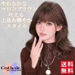 �E�B�b�O �Z�~�����O �J�[�� �E�F�[�u �}���� �u���E�� �O������ ��×p ���� �l�b�g�t�� ���R �o���Ȃ� ���i�g�� �����o�� ��������