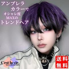 �E�B�b�O �V���[�g �A���u�����J���[ �u���b�N �p�[�v�� �t���E�B�b�O �O������ ��×p ���� �l�b�g�t�� ���R �o���Ȃ� ���i�g�� ����