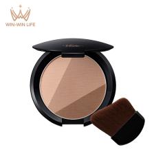 ���B�Z �V�F�[�h �g���b�N �V�F�[�f�B���O�p�E�_�[ 8.5g �t�F�C�X�J���[ �t�F�C�X�p�E�_�[ ���F ���R�� ������ ������ ���̊� ���e�t����