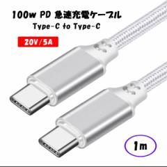 y1mz100W USB Type C-Type C [dP[u 20V/5A PD }[d ^CvC USB-C ϋv iC P[u