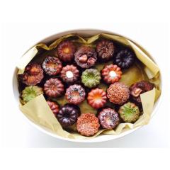 ��̓� �V�w�� ���� �_�j�G���̂��َq �J�k�� �I�[�o�� 20��