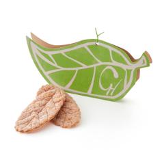 nEB NX}X Ε Mtg NunG [tpC 3