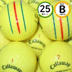 25�� �L�����E�F�C �N�����\�t�g �C�G���[ 2024�N���f�� �g���v�� �g���b�N B�����N ���� ���X�g�{�[�� ��������