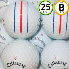 �㋉�Ҍ��� �L�����E�F�C �N�����c�A�[ 2024�N���f�� 25�� B�����N �X�s�����\ ���X�g�{�[�� �������� ����