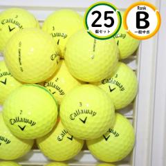 25�� �L�����E�F�C �E�H�[�o�[�h �C�G���[�J���[ B�����N WARBIRD ���� ���X�g�{�[�� �������� 