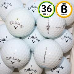 3�_�[�X �L�����E�F�C �E�H�[�o�[�h B�����N WARBIRD ���� ���X�g�{�[�� ��������