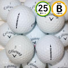 25�� 2021�N���f�� �L�����E�F�C �E�H�[�o�[�h B�����N ���� WARBIRD ���X�g�{�[�� ��������