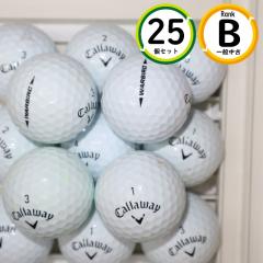 25�� 2021�N���f�� �L�����E�F�C �E�H�[�o�[�h B�����N ���� WARBIRD ���X�g�{�[�� ��������