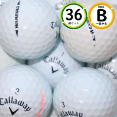 3�_�[�X 2021�N���f�� �L�����E�F�C �E�H�[�o�[�h B�����N ���� �������� WARBIRD ���X�g�{�[��