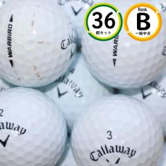 3�_�[�X 2021�N���f�� �L�����E�F�C �E�H�[�o�[�h B�����N ���� �������� WARBIRD ���X�g�{�[��