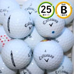 25�� 2023�N���f�� �L�����E�F�C �E�H�[�o�[�h B�����N ���� �z���C�g WARBIRD ���X�g�{�[�� ��������