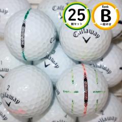 25�� 2023�N���f�� �L�����E�F�C �E�H�[�o�[�h B�����N ���� �z���C�g WARBIRD ���X�g�{�[�� ��������