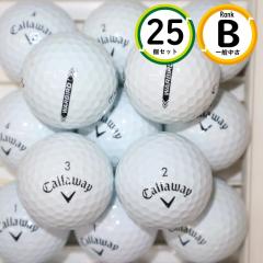 25�� 2023�N���f�� �L�����E�F�C �E�H�[�o�[�h B�����N ���� �z���C�g WARBIRD ���X�g�{�[�� ��������