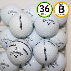 �򋗗��d�� �L�����E�F�C WARBIRD �E�H�[�o�[�h 36�� B�����N �򋗗����\ ���X�g�{�[�� ��������