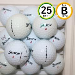 25�� 2021�N-2022�N���f�� �[�b�g�X�^�[xv B�����N �X���N�\�� Z-star xv ���� ���X�g�{�[�� ��������