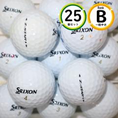 25�� �[�b�g�X�^�[ �_�C�������h 2021�N���f�� B�����N �_�����b�v �X���N�\�� Z-star  ���� ���X�g�{�[�� ��������