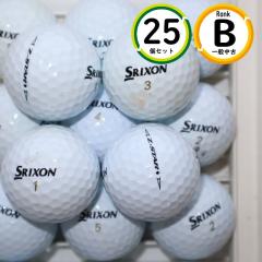 25�� �[�b�g�X�^�[ �_�C�������h 2023�N���f�� B�����N �_�����b�v �X���N�\�� Z-star  ���� ���X�g�{�[�� ��������