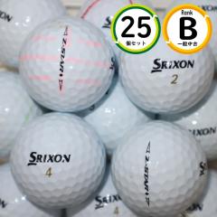 25�� �[�b�g�X�^�[ �_�C�������h 2023�N���f�� B�����N �_�����b�v �X���N�\�� Z-star  ���� ���X�g�{�[�� ��������