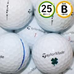 �㋉�Ҍ��� �e�[���[���C�h TP5X 25�� B�����N �X�s�����\�E�O���[���Ŏ~�߂₷�� ���X�g�{�[�� �������� 25�� �z���C�g