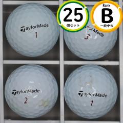 �㋉�Ҍ��� �e�[���[���C�h TP5X 2024�N���f�� 25�� B�����N �X�s�����\�E�O���[���Ŏ~�߂₷�� ���X�g�{�[�� ��������