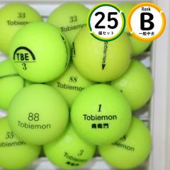 25�� ��q�� �}�b�g�O���[���C�G���[ B�����N ���� ���X�g�{�[�� �g�r�G���� �S���t�{�[�� �������� snt