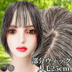 EBbO V[g EBbO  wAs[X |CgEBbO  OCwA OC  fB[X l100 EBb