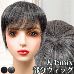 �����E�B�b�O �����V���[�g �����E�B�b�O ���� �w�A�s�[�X �|�C���g�E�B�b�O ���� �O���C�w�A �O���C ���� ���f�B�[�X �l�у~�b�N�X �E