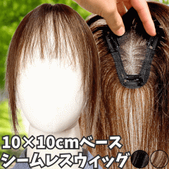 EBbO wAs[X |CgEBbO  fB[X l100%  EBbO V[g gbvs[X gbvJo[ gbvEB