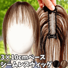 EBbO wAs[X |CgEBbO  fB[X l100%  EBbO V[g gbvs[X gbvJo[ gbvEB