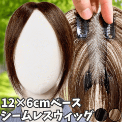 EBbO wAs[X |CgEBbO  fB[X l100%  EBbO V[g gbvs[X gbvJo[ gbvEB