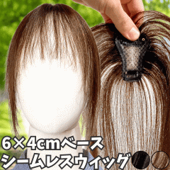 EBbO wAs[X |CgEBbO  fB[X l100%  EBbO V[g gbvs[X gbvJo[ gbvEB