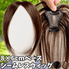 EBbO wAs[X |CgEBbO  fB[X l100%  EBbO V[g gbvs[X gbvJo[ gbvEB