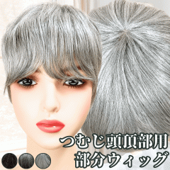 EBbO V[g EBbO  wAs[X |CgEBbO  OCwA OC  fB[X lH EBbO