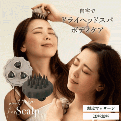 �d���̑I�ׂ� �X�J���v�u���V ����u���V �X�J���v�P�A �w�b�h�X�p ����P�A �c�{���� �{�f�C�P�A �}�O�l�b�g�{�[�� �}�b�T�[�W ����}�b