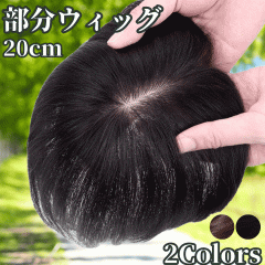 EBbO wAs[X |CgEBbO  fB[X l100%  EBbO V[g gbvs[X ڎ gbvEBb