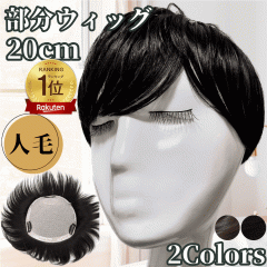 EBbO wAs[X l100% gbvJo[ т gbvEBbO Jo[s[X |Cgs[X gbvs[X  j 