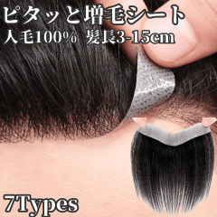 EBbO \EBbO l100%  A \鑝 уV[g t   jp ɔtB wAs[X M