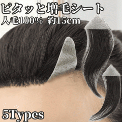 EBbO \EBbO l100%  A \鑝 уV[g t   jp ɔtB wAs[X M