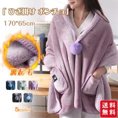 �唻�u�����P�b�g �Ђ��|�� �|���`�� ���N�� �Ђ����� �|���z�c �u�����P�b�g �t���[�X �唻 �H�D�� 170*65cm ����ѕz